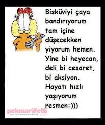 Hayati Hizli Yasiyorum Hayata Gulumse Pek Marifetli Mizah Alintilari Alayci Sozler Bff Sozleri