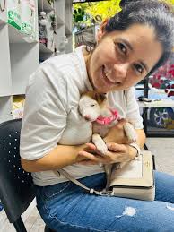 Perros Extraviados El Salvador