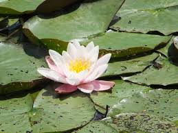 Fuhrungen In Forchheim Angebote Ideen