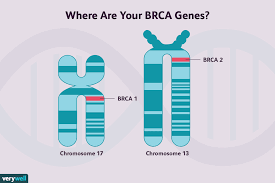 This protein is found within the membrane that surrounds epithelial cells — special cells that line the outer surfaces of your body (such as. Non Brca Gene Mutations That Raise Breast Cancer Risk