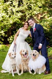 Pin On Wedding Pets
