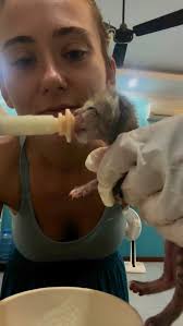 We’ve been a little busy… 🐱 🐱 🐱 , One kitten was dropped to the  sanctuary when she was found alone, then another two were dropped outside  the gate days later. , Unfortunately the last two have been ...