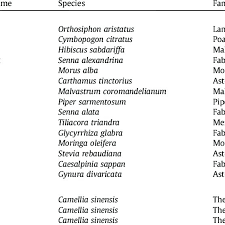 Maybe you would like to learn more about one of these? List Of Plants Used To Prepare Tea Infusion With English And Thai Download Table