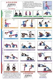 Swiss Ball Workout Pdf Sport1stfuture Org