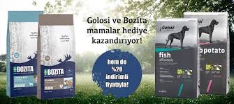 Yunus Alta Nel Adli Kullanicinin Backlink Paketleri Panosundaki Pin Evcil Hayvan Malzemeleri Akvaryumlar Evcil Hayvanlar