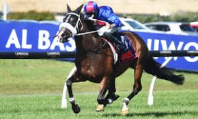 $340,000 Capitalist Filly Tops MM National Yearlings Day 2