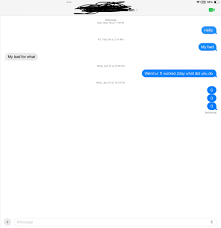 WHat does the green FaceTime button mean? - Apple Community
