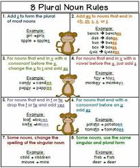 8 Plural Noun Rules Add S To Form The Meit International English Teacher Teaching Grammar Grammar English Grammar