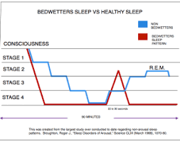 Adhd Bedwetting Symptoms Of Heavy Deep Sleep Enuresis