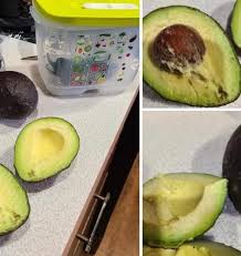 Image result for Dark Avocado 1983 Fedders