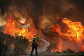 We did not find results for: Asap Kebakaran Hutan As Tingkatkan Risiko Covid 19