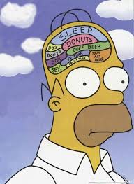 Homer The Wise Homer Simpson Brain Homer Simpson Simpsons Funny