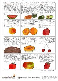 How To Tell If Its Ripe Or Not The Ultimate Cheat Sheet