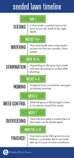Waterlogged soil will suffocate the new seeds. What To Expect When You Re Expecting A New Lawn 317grow