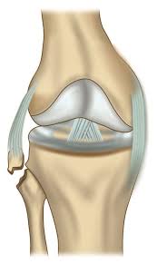 Knee pain and swelling are common symptoms and signs of a knee injury. Jaypeedigital Ebook Reader