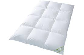 Schäfer canada kassetten daunendecke winterdecke 100% natur canadische daune 135×200 cm c4. Daunendecke 10 Cm Innensteg 90 Daune Winter Kaufland De