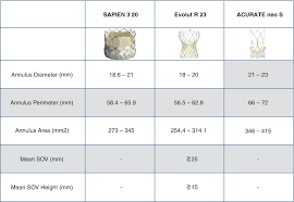 Self Expanding Vs Balloon Expandable Devices For