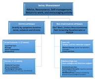 Image result for why classify low back pain by treatment instead of