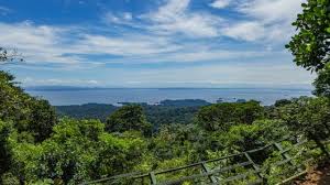 Suriname, officially known as the republic of suriname, is a country on the northeastern atlantic coast of south america. Why Is Suriname Poor The Borgen Project
