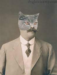 cat man by frighten cat art deer art print cat art print