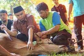 Dalam hadits riwayat imam muslim dari abu hurairah. Tnaucv9umc3sfm