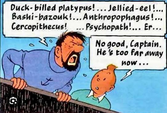 duck-billed platypus! jellied-eel! bashi-bazouk! anthropophagus! cercopithecus! psychopath!