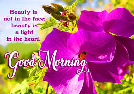 Good morning monday flowers quotes. 101 Beautiful Good Morning Flowers Quotes Latest Collections Pix Trends