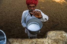 Union agriculture minister radha mohan singh reported, soon after examining scientifically, camel milk has actually been recognised with the. India Milks A Profit In Quest To Bump Camel Numbers Arab News