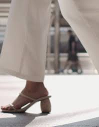 Image result for Emilia libeniana