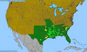 Image result for Cayaponia