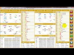 Match Making In Nadi Astrology With Horosoft Astrology