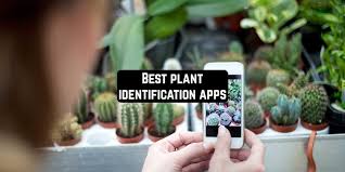 This app provides a paid plant identification service. 16 Best Plant Identification Apps For Android Ios Free Apps For Android And Ios