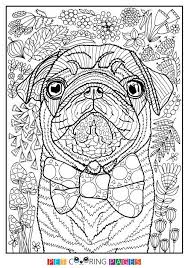 Pin By Barbara On Coloring Dog Animal Coloring Pages Dog Coloring Page Dog Coloring Book