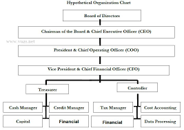 organizational hierarchy according to finance department