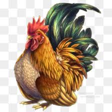 Busque palavras ou grupos de palavras em dicionários bilingues de alta qualidade e utilize o buscador de traduções com milhões de exemplos da internet. Ingles Antigo Jogo De Galinhas Fundo Png Imagem Png Jogo Americano Jogo Antigo Ingles Ave Sumatra Frango Adesivos De Parede Decal Galo Png Transparente Gratis