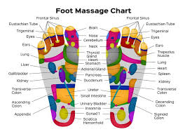 Foot Reflexology Chart With Description Of The Internal