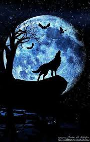 Mooie Plaatjes Wolven Kunst Huilende Wolf Wolf Tekeningen