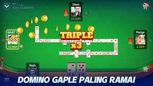 Download Domino Qiuqiu 2020 Domino 99 Gaple Online On Pc With Memu
