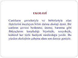 Powerpoint Sunusu Yucel Kesen Akademi