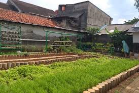 Berikut ini sederet hal yang perlu diperhatikan saat membuat kebun di rumah. Manfaatkan Lahan Sempit Jadi Kebun Sayur Republika Online