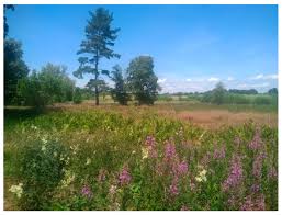 Hours may change under current circumstances Geosciences Free Full Text Geoheritage And Geotourism In Regions With Extinct Volcanism In Germany Case Study Southwest Germany With Unesco Global Geopark Swabian Alb Html