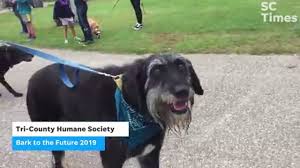 New Tri County Humane Society Shelter Expected To Open In Summer
