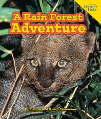 A Rain Forest A Rain Forest