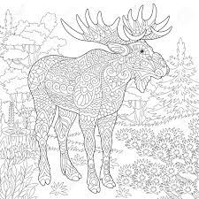 Is your child crazy about coloring? Moose Woodland Animal Forest Landscape Coloring Page Colouring Royalty Free Cliparts Vectors And Stock Illustration Image 103047023