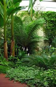 Jardin Exotique Paysagiste Taffin Jardin Tropical Jardin Exotique Jardin Paysager
