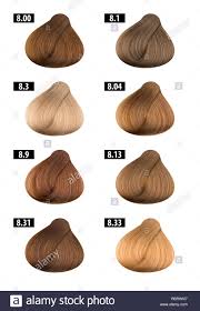 Haircolor Andhair Dye Colours Chart Colour Numbers 9 Stock
