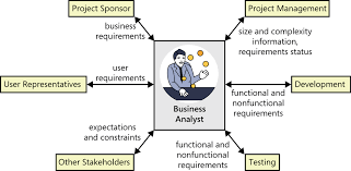 4 The Business Analyst Software Requirements Business Analyst Business Analysis Computer Science Degree