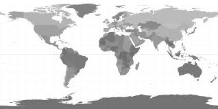 Image result for Magnistipula