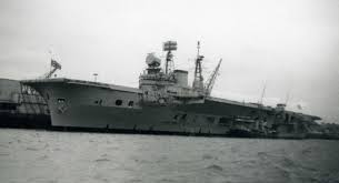 Image result for Gray 1971 Fleet