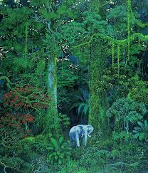 Hirō Isono M Elt Jungle Art Forest Art Tropical Rainforest